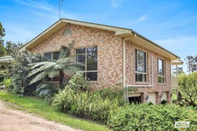 Farm Sold - NSW - Bega - 2550 - FAMILY HOME ON ACRES CLOSE TO TOWN  (Image 2)