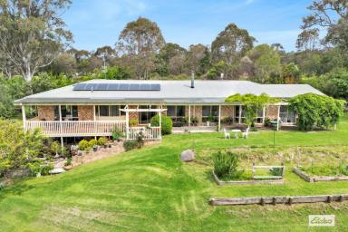 Farm Sold - NSW - Bega - 2550 - FAMILY HOME ON ACRES CLOSE TO TOWN  (Image 2)
