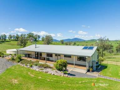 Farm Sold - NSW - Verona - 2550 - FANTASTIC HOBBY FARM  (Image 2)