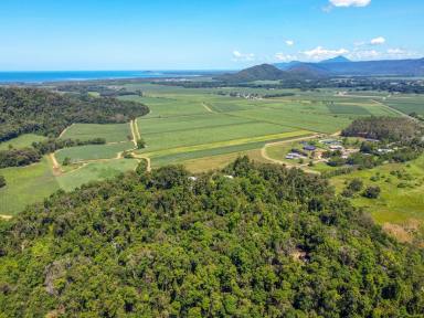 Farm For Sale - QLD - Mossman - 4873 - I'M ON TOP OF THE WORD, HEY!  TWO HOMES, AMAZING VIEWS  (Image 2)
