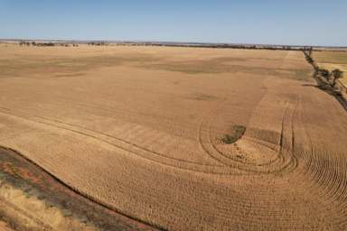 Farm Sold - WA - Dukin - 6475 - DUKIN FARM                                                            64.8HA (160.05 ACRES)  (Image 2)