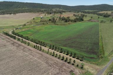Farm Sold - QLD - Budgee - 4359 - MEADOWDELL

When a Quality Home, Country, Improvements and Position Count  (Image 2)