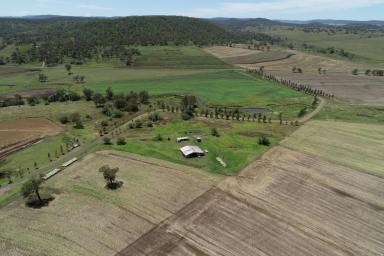 Farm Sold - QLD - Budgee - 4359 - MEADOWDELL

When a Quality Home, Country, Improvements and Position Count  (Image 2)