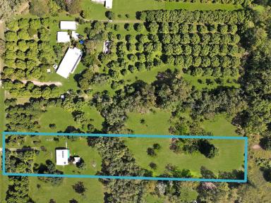 Farm For Sale - QLD - Alligator Creek - 4816 - Attention Tradies and Home Renovators. Do you want the Acreage Dream? - Home on a rare 2.5 acres in Alligator Creek  (Image 2)