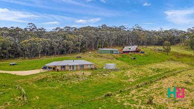 Farm Sold - NSW - Sunny Corner - 2795 - Two completely separate homes on the best side of town  (Image 2)
