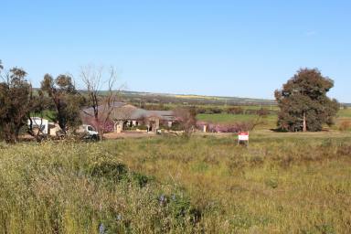 Farm Sold - WA - Northam - 6401 - Enjoy Blissful Country Life  (Image 2)