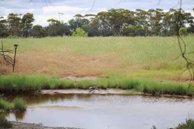 Farm Sold - WA - Woodanilling - 6316 - Natures Farmlet  (Image 2)