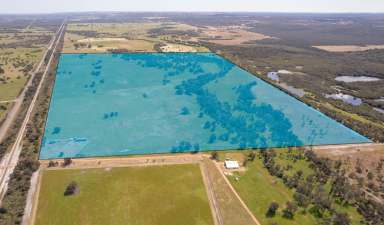 Farm For Sale - WA - Muchea - 6501 - RARE  EARTH - 1.3 km of Railway and Brand Highway frontage plus Water Licence  (Image 2)