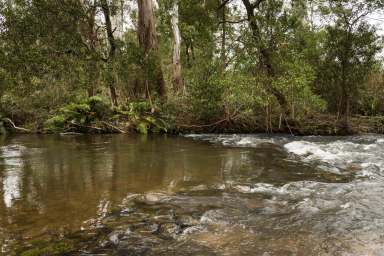 Farm Sold - VIC - Taggerty - 3714 - "WARWILLAH" - ICONIC LOCATION FOR ADAPTABLE RIVERFRONT ACREAGE  (Image 2)