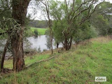 Farm Sold - TAS - Forth - 7310 - FORTH RIVER FRONTAGE - 4.487 HECTARES (11 acres)  (Image 2)