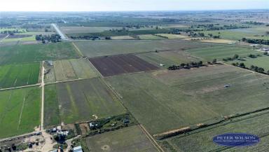 Farm Sold - VIC - Yarroweyah - 3644 - 215 Acres of Mixed Farming Opportunity Awaits  (Image 2)