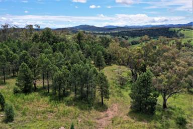 Farm For Sale - NSW - Quirindi - 2343 - QUIET LOCATION, PICTUREQUES VIEWS & 3.1 ACRES  (Image 2)