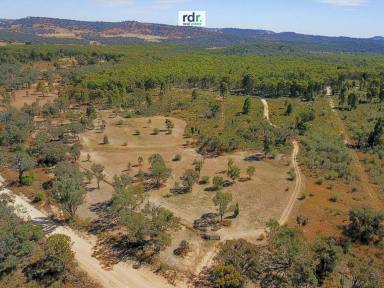 Farm Sold - NSW - Coolatai - 2402 - RURAL WEEKEND GETAWAY  (Image 2)