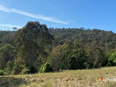 Farm Sold - NSW - Bega - 2550 - BUSH BLOCK CLOSE TO TOWN  (Image 2)