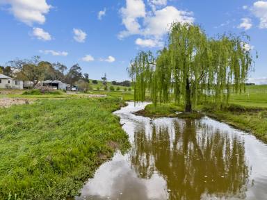 Farm Sold - NSW - Yass - 2582 - Three Hectares of Equine Paradise not to be Missed!  (Image 2)