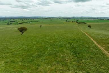 Farm Sold - NSW - Oura - 2650 - Prime Leasing Opportunity  (Image 2)