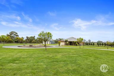 Farm Sold - VIC - Baxter - 3911 - Country Escape With Equestrian Facilities  (Image 2)
