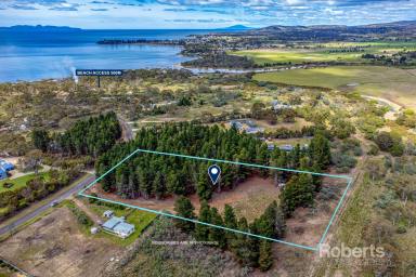 Farm Sold - TAS - Dolphin Sands - 7190 - Bring the caravan, boat and the kids!  (Image 2)