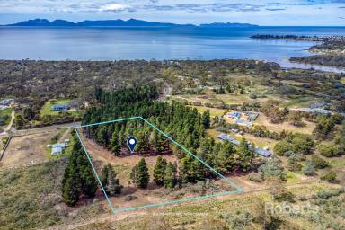 Farm Sold - TAS - Dolphin Sands - 7190 - Bring the caravan, boat and the kids!  (Image 2)
