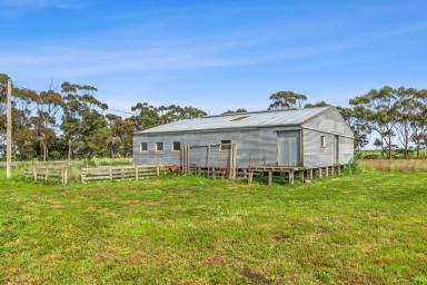 Farm Sold - VIC - Shelford - 3329 - Productive Rural Acreage Just 45 minutes from Geelong/Ballarat  (Image 2)