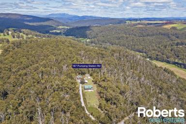 Farm Sold - TAS - Forth - 7310 - Forth Valley & Bass Strait Views + 50 Acres  (Image 2)
