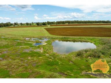 Farm Sold - QLD - Wooroolin - 4608 - Mixed Farming Opportunity  (Image 2)
