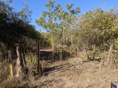 Farm Sold - QLD - Woodstock - 4816 - SOLD By Mal and Phill Charlwood  (Image 2)