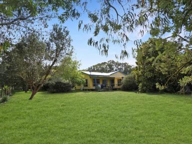 Farm For Sale - VIC - Gorae West - 3305 - Spread Your Wings!  (Image 2)