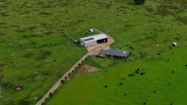 Farm For Sale - VIC - Eagle Point - 3878 - Room to move  (Image 2)