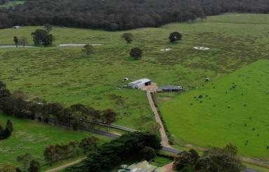 Farm For Sale - VIC - Eagle Point - 3878 - Room to move  (Image 2)