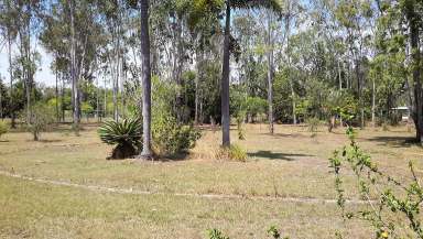 Farm Sold - QLD - Millstream - 4888 - It is a Shome, on 4 acres.  (Image 2)