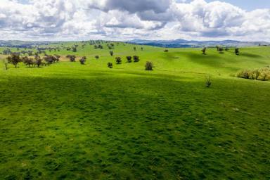 Farm Sold - NSW - Gundagai - 2722 - Wandeen - One of Gundagai's Premier Rural Holdings


'NEW AUCTION DATE - TUESDAY 13 DECEMBER 2022'  (Image 2)