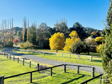 Farm For Sale - NSW - Moss Vale - 2577 - Exclusive House & Land Package From $1,995,000  (Image 2)
