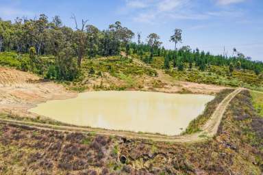 Farm Sold - WA - Beela - 6224 - Here's a Rough Diamond in the Hills  44.822 ha (approx. 110.75 acres)  (Image 2)