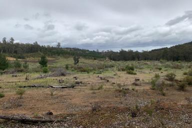 Farm Sold - WA - Beela - 6224 - Here's a Rough Diamond in the Hills  44.822 ha (approx. 110.75 acres)  (Image 2)