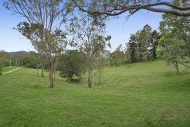 Farm Sold - QLD - Wights Mountain - 4520 - Charming, Country Residence on 5 Acres!  (Image 2)