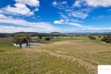 Farm Sold - NSW - Gunnedah - 2380 - PRODUCTIVE ARABLE AND GRAZING PROPERTY IN CLOSE PROXIMITY TO GUNNEDAH  (Image 2)
