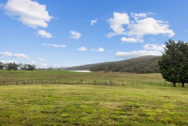 Farm Sold - NSW - Crookwell - 2583 - 40 Acres on Crookwell's Doorstep  (Image 2)