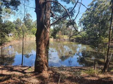 Farm Sold - QLD - Benarkin - 4314 - 5.23 acres with large dam in Benarkin  (Image 2)