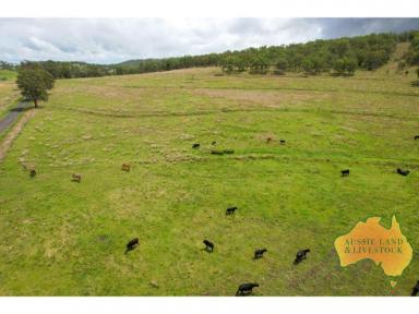 Farm Sold - QLD - Goomeri - 4601 - 100 acres of grazing close to Goomeri  (Image 2)