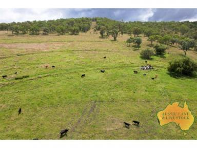 Farm Sold - QLD - Goomeri - 4601 - 100 acres of grazing close to Goomeri  (Image 2)