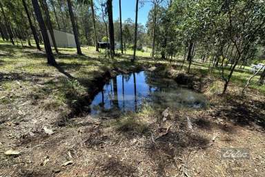 Farm Sold - QLD - Bauple - 4650 - PEACEFUL SURROUNDS WITH LARGE NATIVES GALORE!  (Image 2)