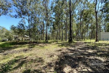 Farm Sold - QLD - Bauple - 4650 - PEACEFUL SURROUNDS WITH LARGE NATIVES GALORE!  (Image 2)