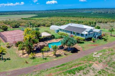 Farm For Sale - QLD - Horton - 4660 - WE HAVE A VERY RARE OPPORTUNITY THAT YOU CANNOT MISS  (Image 2)