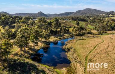 Farm Sold - TAS - Kellevie - 7176 - Make your home among the gumtree's  (Image 2)