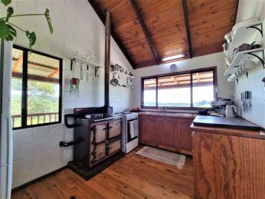 Farm Sold - QLD - Malanda - 4885 - Heaven in the HIlls  (Image 2)