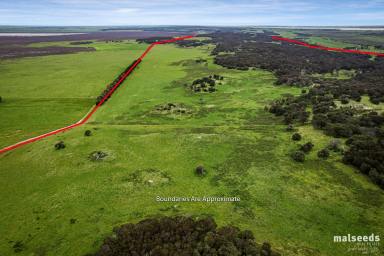 Farm Sold - SA - Robe - 5276 - Prime grazing land with gorgeous character home just minutes from Robe, 442 hectares (approx)/1092 acres (approx)  (Image 2)