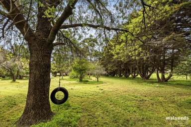 Farm Sold - SA - Robe - 5276 - Prime grazing land with gorgeous character home just minutes from Robe, 442 hectares (approx)/1092 acres (approx)  (Image 2)