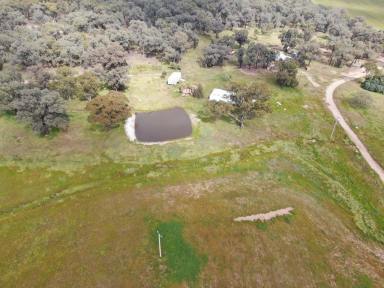 Farm Sold - NSW - Temora - 2666 - Golden Opportunity To Purchase Small Farm In Tightly Held District  (Image 2)