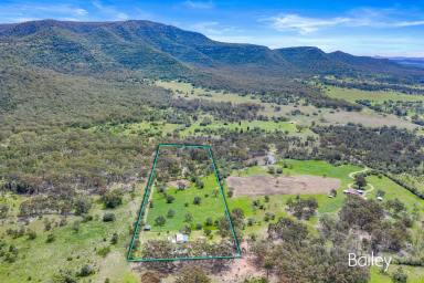 Farm Sold - NSW - Jerrys Plains - 2330 - PRIVATE 10 ACRES | PERFECT FOR HORSES  (Image 2)